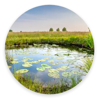 Private pond owners need pond maintenance, pond managment, erosion control, aquatic plants, pond spraying, pond dye and more